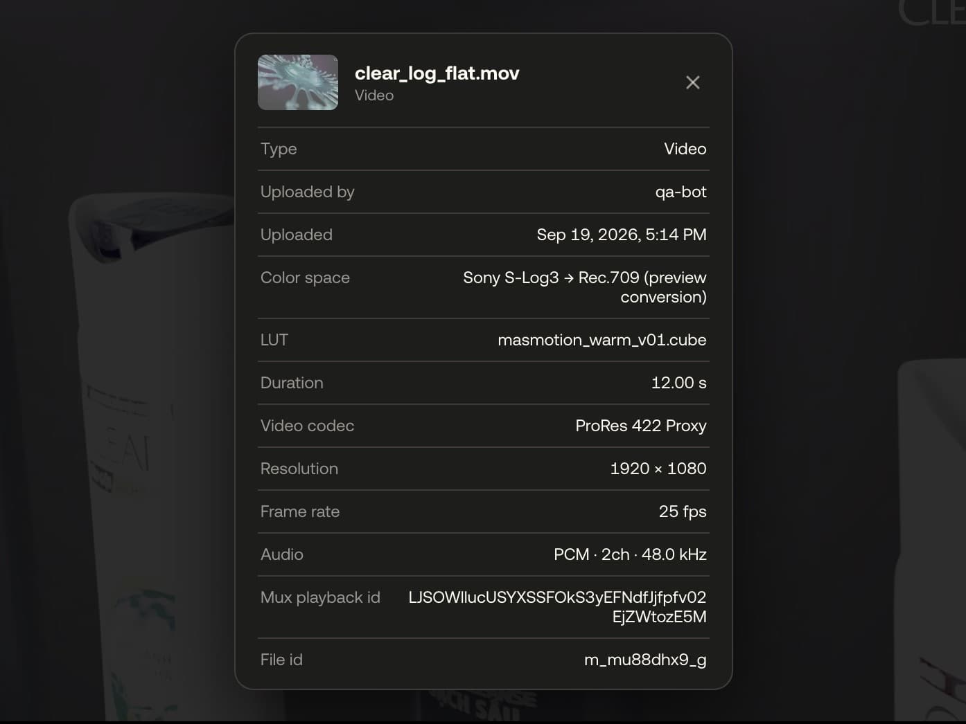 The Info window naming the active colour space and the loaded .cube LUT