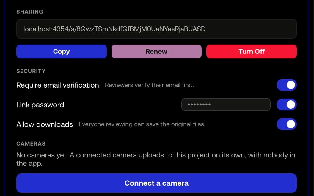 Project settings, Security: Link password and Require email verification switched on